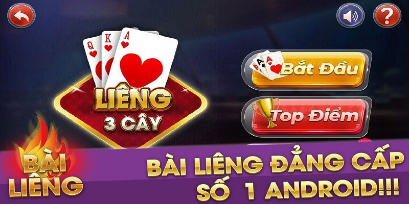 Người chia bài cần phải chia bài theo một trình tự nhất định